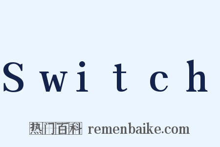 Switch是什么意思的图片